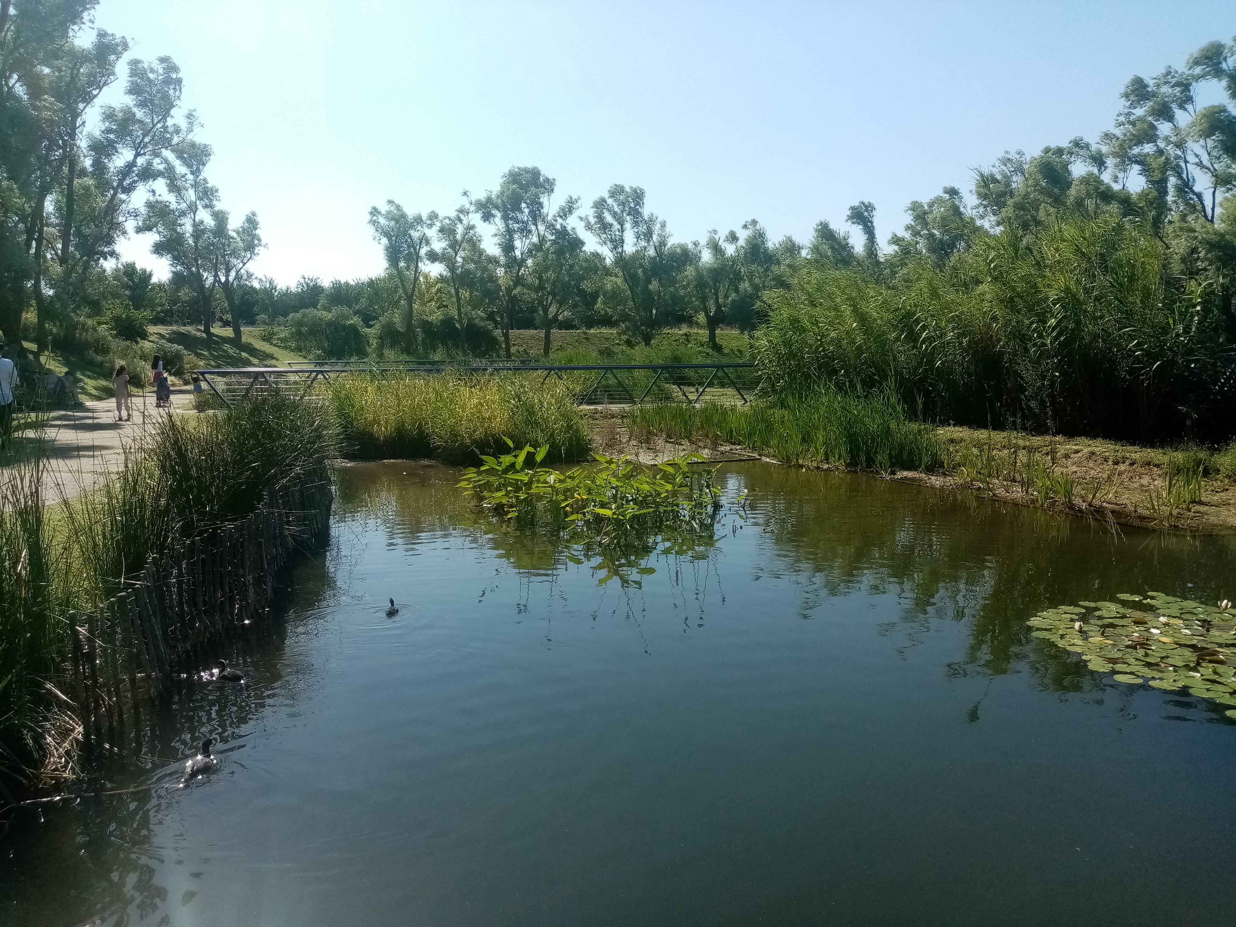 Photo n° 2 de l'avis de Sabrina.o fait le 19/07/2021 à 15:40