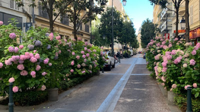 Sophie Cottin-Badelon Sophrologue Neuilly à Neuilly-sur-Seine