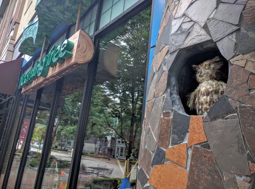 Toy Store «The Learning Tree», reviews and photos, 11536 Ash St, Leawood, KS 66211, USA