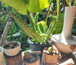 The Hideaway photo