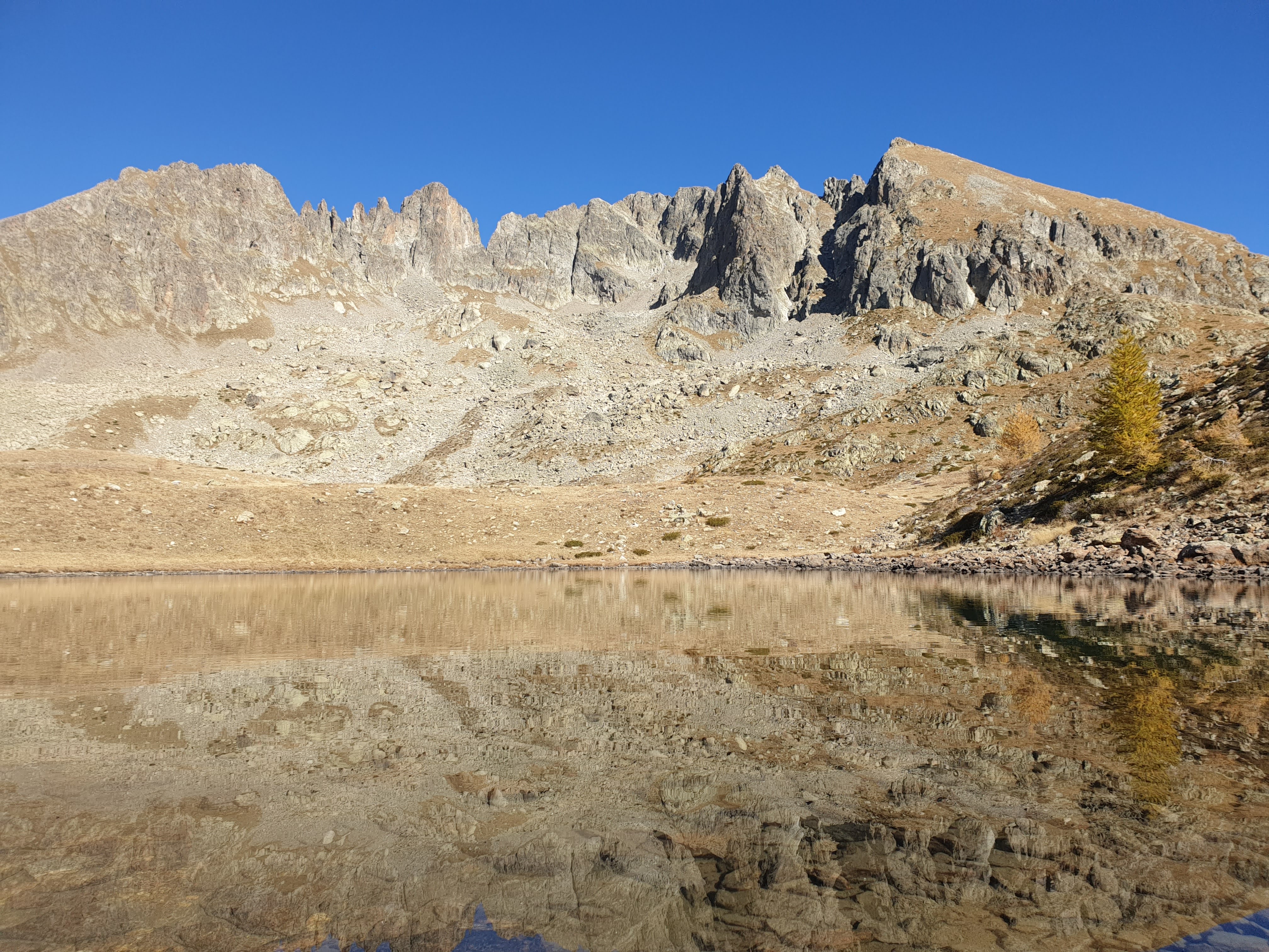 Photo n° 3 de l'avis de Elouan. fait le 29/10/2021 à 19:00