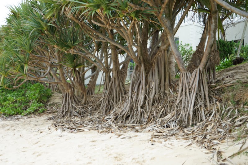 コーラルヴィータ チャペル 沖縄県恩納村字瀬良垣 結婚式場 グルコミ