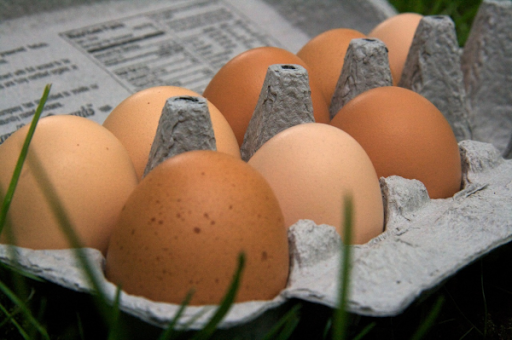 Produce Market «Blue Moon Acres», reviews and photos, 11 Willow Creek Dr, Pennington, NJ 08534, USA