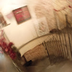 Photo n°2 de l'avis de Monica.a fait le 02/01/2024 à 09:38 sur le  Trattoria la Casetta à Brisighella