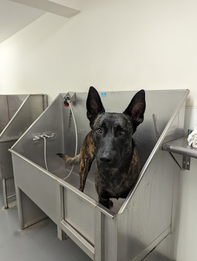 Pet Supply Store «Centinela Feed & Pet Supplies», reviews and photos, 11055 W Pico Blvd, Los Angeles, CA 90064, USA