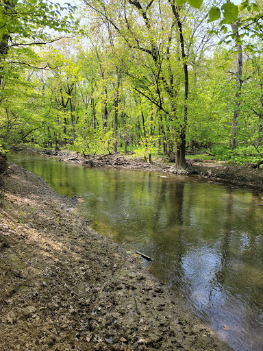 Nature Preserve «Harms Woods», reviews and photos, Harms Rd, Glenview, IL 60025, USA