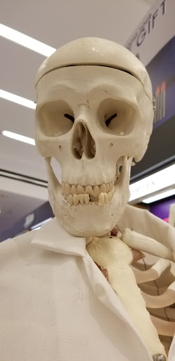 Department Store «Lord & Taylor», reviews and photos, 99 Rockingham Park Blvd, Salem, NH 03079, USA