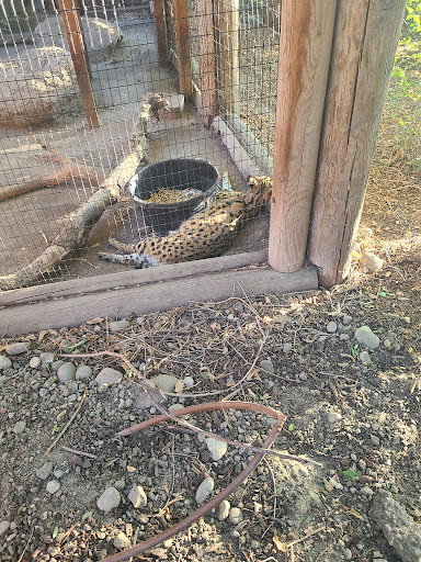 Zoo «Zoo Boise», reviews and photos, 355 Julia Davis Dr, Boise, ID 83702, USA