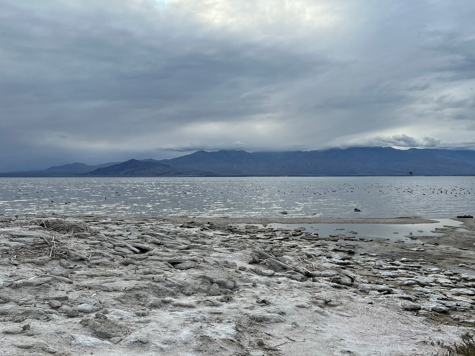 Sneaker Beach photo #7