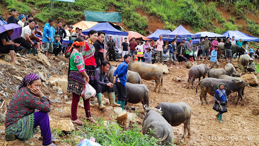Top 20 các cửa hàng dkbike Huyện Xi Ma Cai Lào Cai 2022