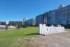 Montevideo Letters image