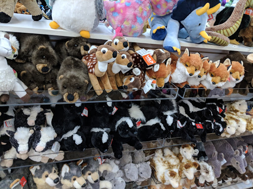 Toy Store «Toy Store», reviews and photos, 936 Massachusetts St, Lawrence, KS 66044, USA