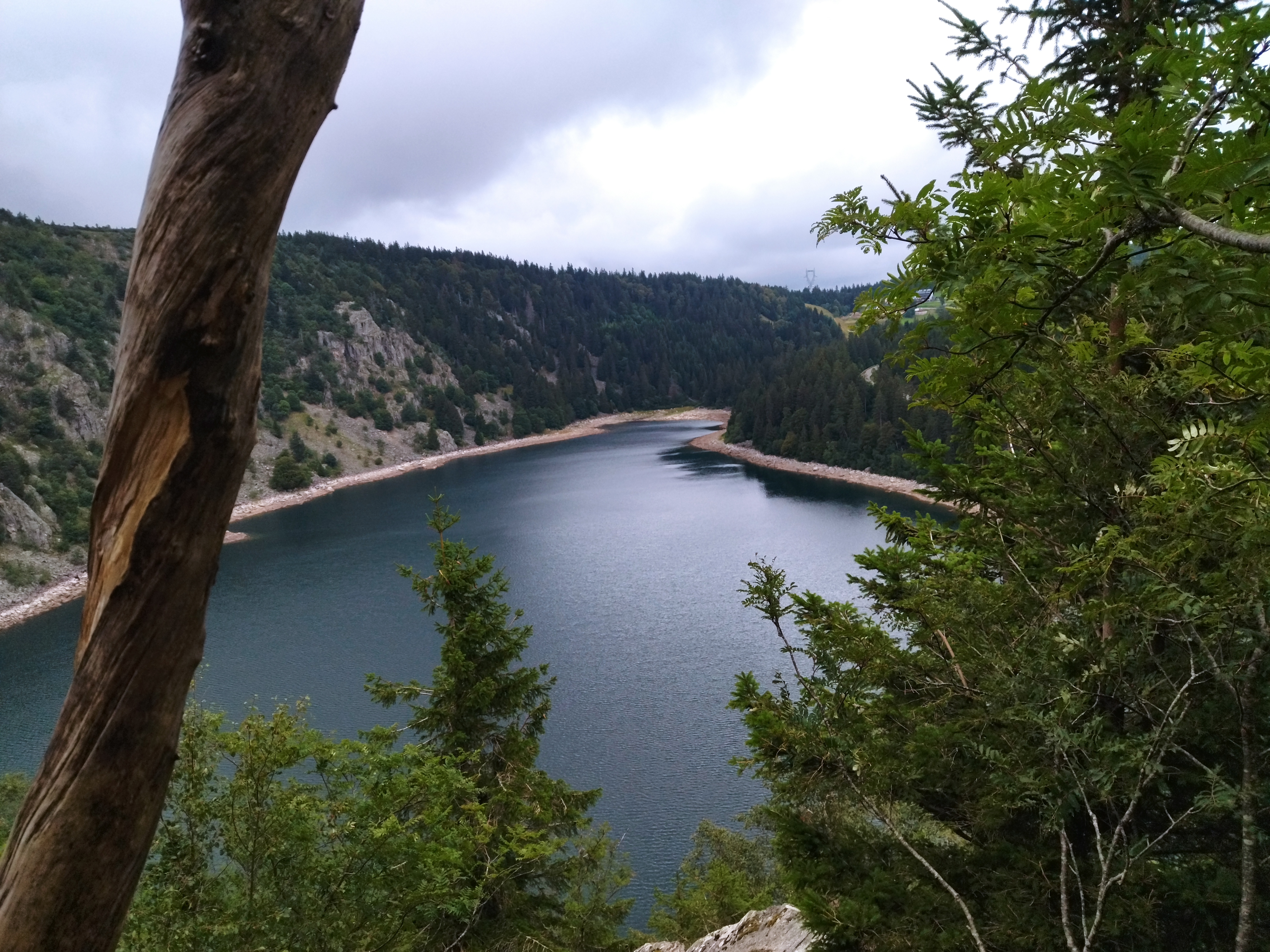 Photo n° 31 de l'avis de MM.u fait le 27/08/2023 à 14:16