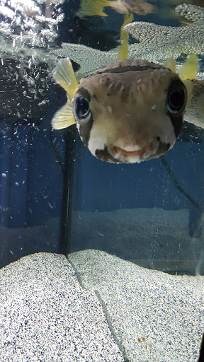 Pet Supply Store «CountryMax - Geneseo», reviews and photos, 4101 Lakeville Rd, Geneseo, NY 14454, USA