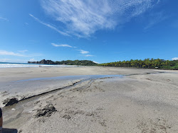 Photo de Playa del Ostional avec un niveau de propreté de assez propre