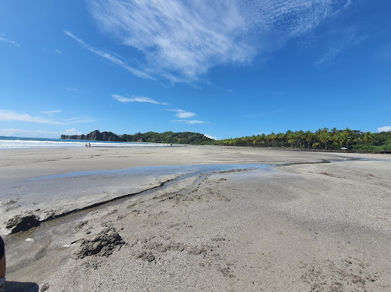 Playa del Ostional