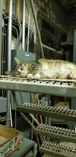 Florist «Sieck-Wright Floral Products», reviews and photos, 231 Monmouth St, Hightstown, NJ 08520, USA