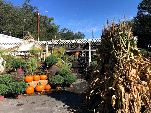 Grocery Store «Red Top Farm Market», reviews and photos, 1801 NJ-70, Southampton Township, NJ 08088, USA