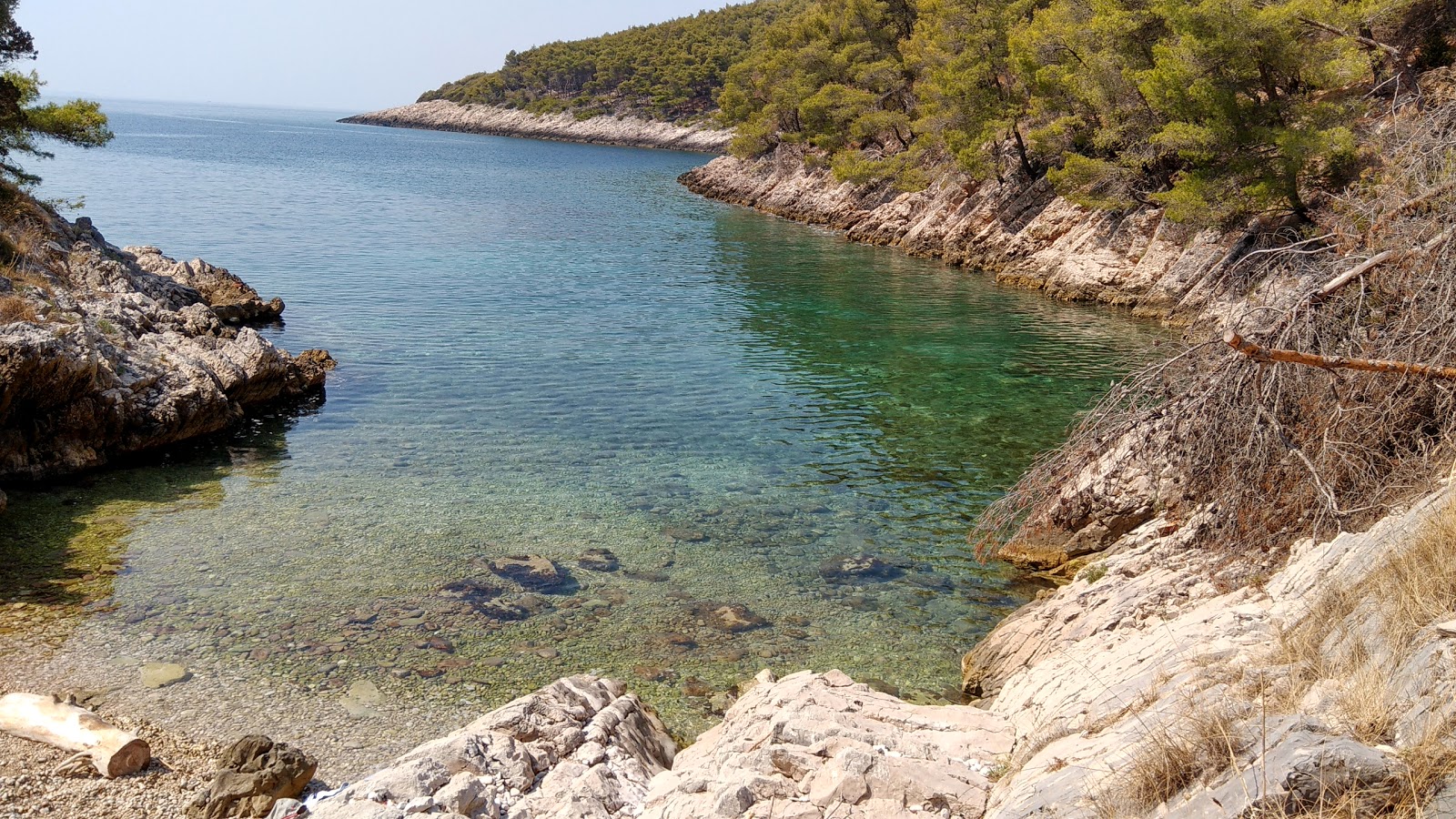 Photo de Paradiso beach avec l'eau vert clair de surface