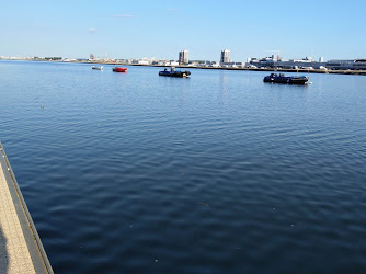 London Otters Rowing Club