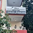 Bies Psikiyatri & Psikolojik Danışmanlık I Psikiyatrist Dr. Tahsin Etli I Klinik Psikolog Ayşegül Emek