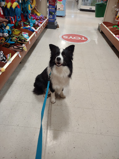 Pet Supply Store «PetSmart», reviews and photos, 825 Pilgrim Way, Green Bay, WI 54304, USA