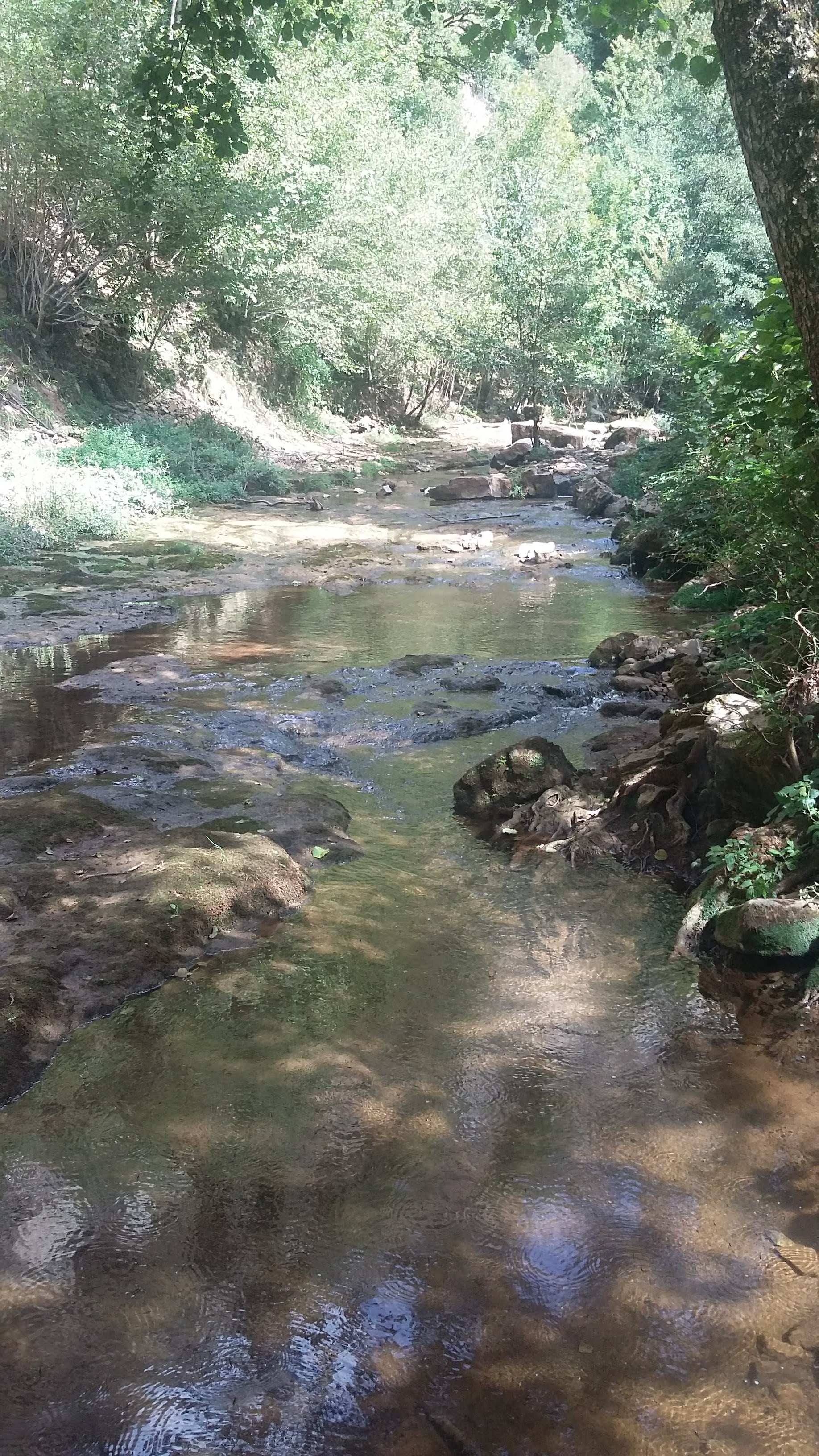 Photo n° 4 de l'avis de david.e fait le 27/08/2020 à 18:35
