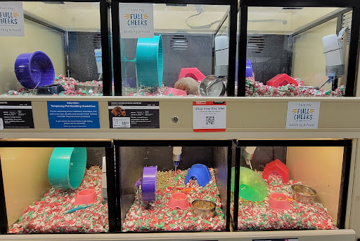 Pet Supply Store «PetSmart», reviews and photos, 4550 W Lake Mary Blvd, Lake Mary, FL 32746, USA