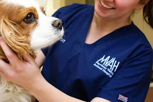 Merrimac Valley Animal Hospital image