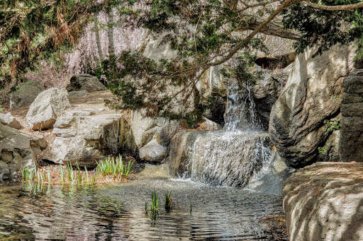 Arboretum «Yakima Area Arboretum», reviews and photos, 1401 Arboretum Dr, Yakima, WA 98901, USA