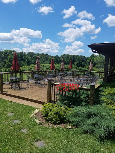 Winery «Shade Winery», reviews and photos, 401 Gilkey Ridge Rd, Shade, OH 45776, USA
