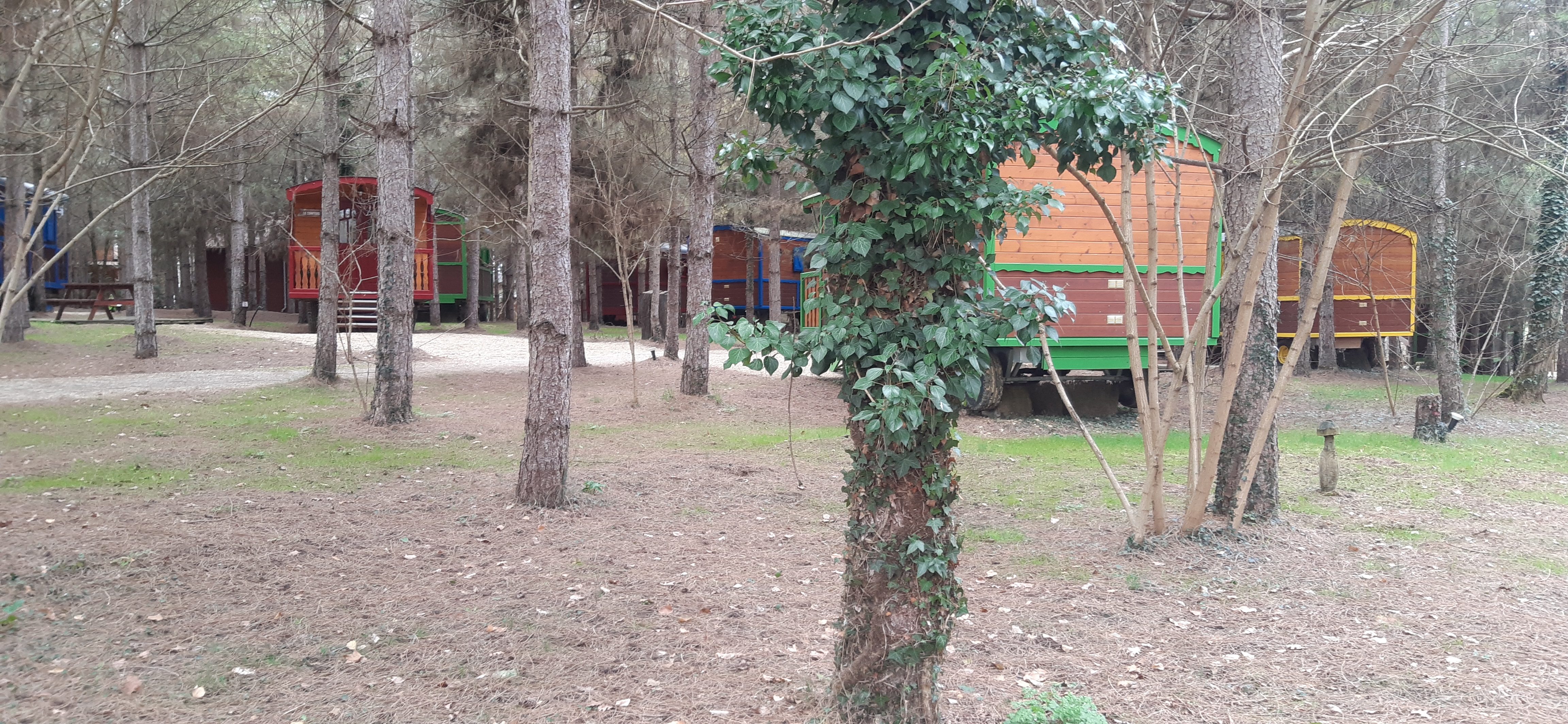 Photo n° 30 de l'avis de Ludovic.i fait le 25/02/2022 à 15:59