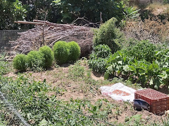 Kızılcaavlu Köyü Muhtarlığı