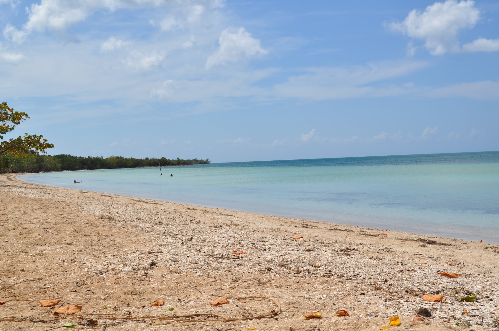 Foto de Playa Las Coloradas con agua turquesa superficie