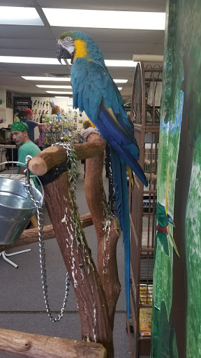 Pet Store «Adventure Birds of Bon Aqua», reviews and photos, 9600 TN-46, Bon Aqua, TN 37025, USA
