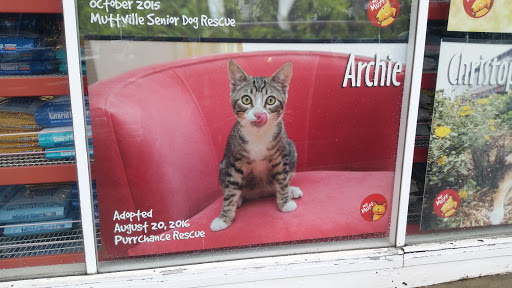 Pet Supply Store «Pet Food Express», reviews and photos, 3160 20th Ave, San Francisco, CA 94132, USA