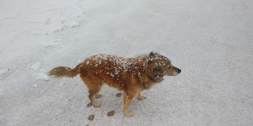 Public Golf Course «San Saba Municipal Golf Course», reviews and photos, 723 County Road 102, San Saba, TX 76877, USA
