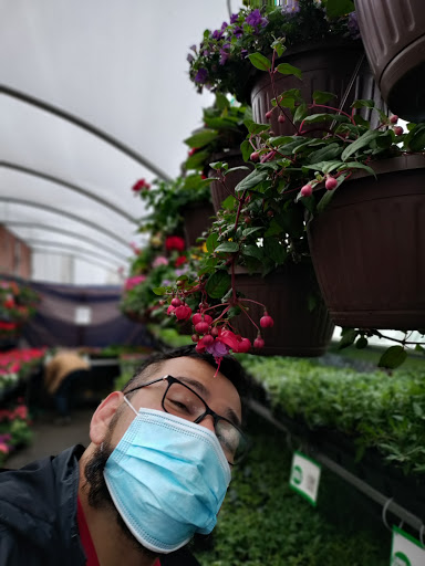 Hardware Store «Tele-Tron Ace Hardware», reviews and photos, 6604 Cermak Rd, Berwyn, IL 60402, USA