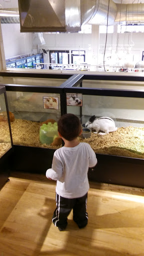 Pet Store «Critter Cabana», reviews and photos, 516 E 1st St, Newberg, OR 97132, USA