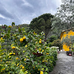 Photo n°5 de l'avis de Yamini.i fait le 20/05/2023 à 19:48 sur le  Agriturismo Costa di Campo à Vernazza