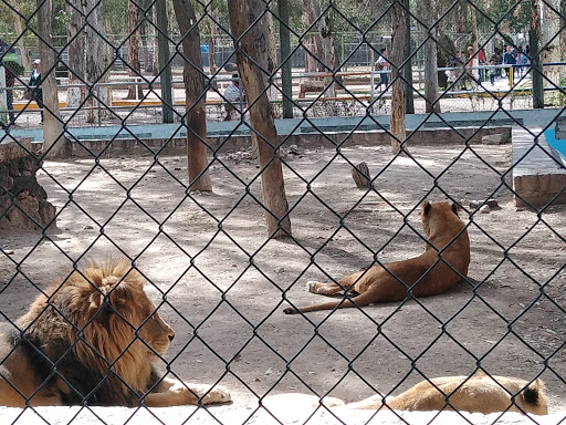 Bioparque Sahuatoba