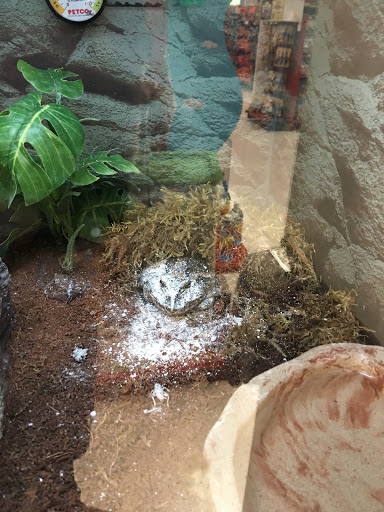 Pet Supply Store «Petco Animal Supplies», reviews and photos, 420 El Cerrito Plaza, El Cerrito, CA 94530, USA