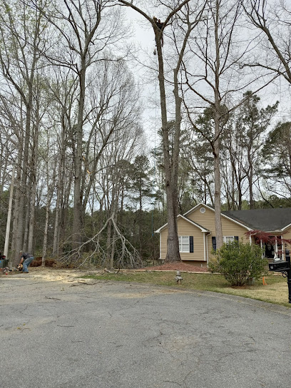 Cantrell Tree Service