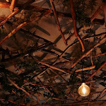 Photo n°1 de l'avis de kate.u fait le 08/11/2019 à 20:19 sur le  BOSCO - osteria Abruzzese Pigneto Roma à Rome