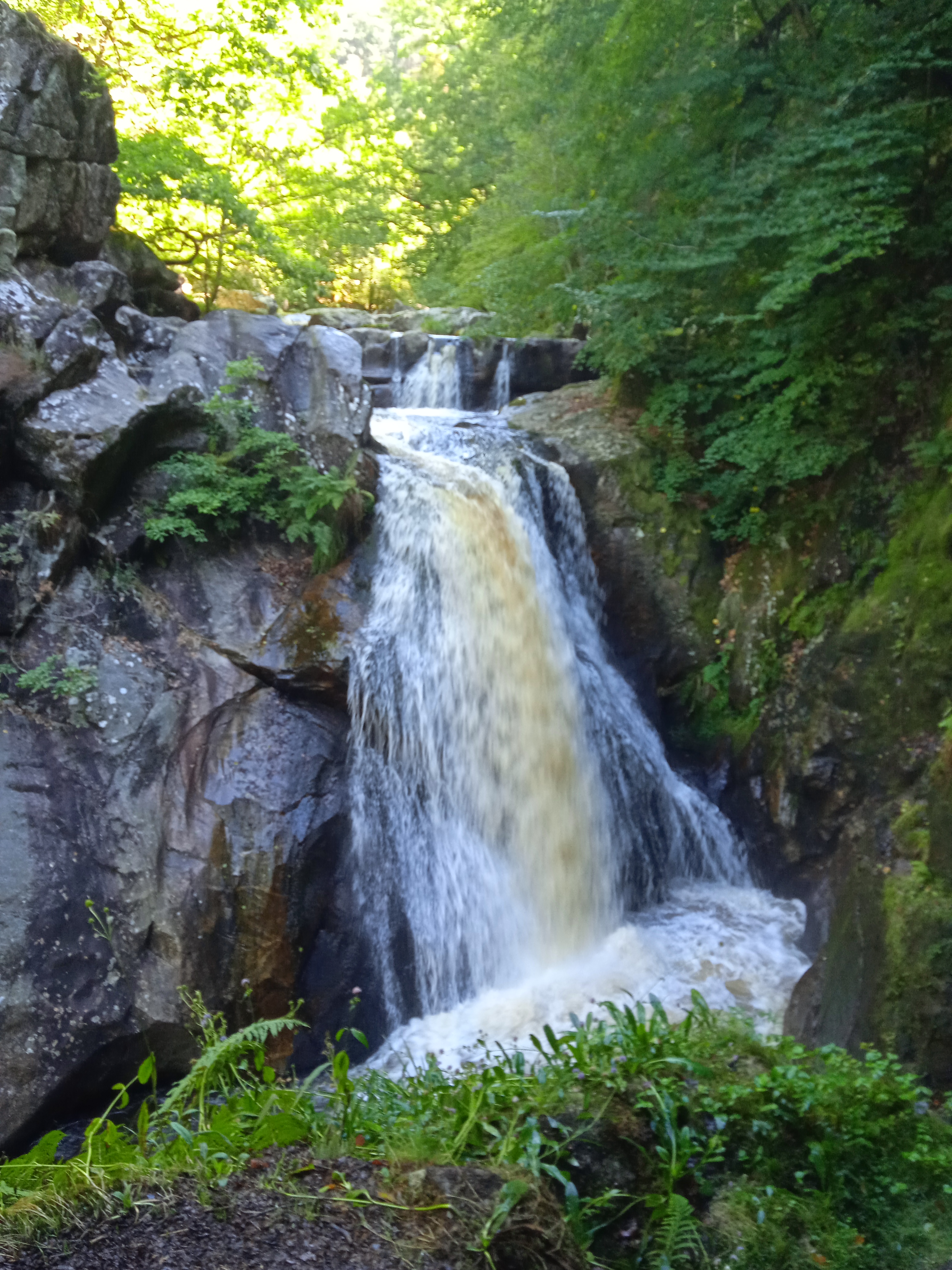 Photo n° 1 de l'avis de bougouin.a fait le 24/08/2022 à 13:53