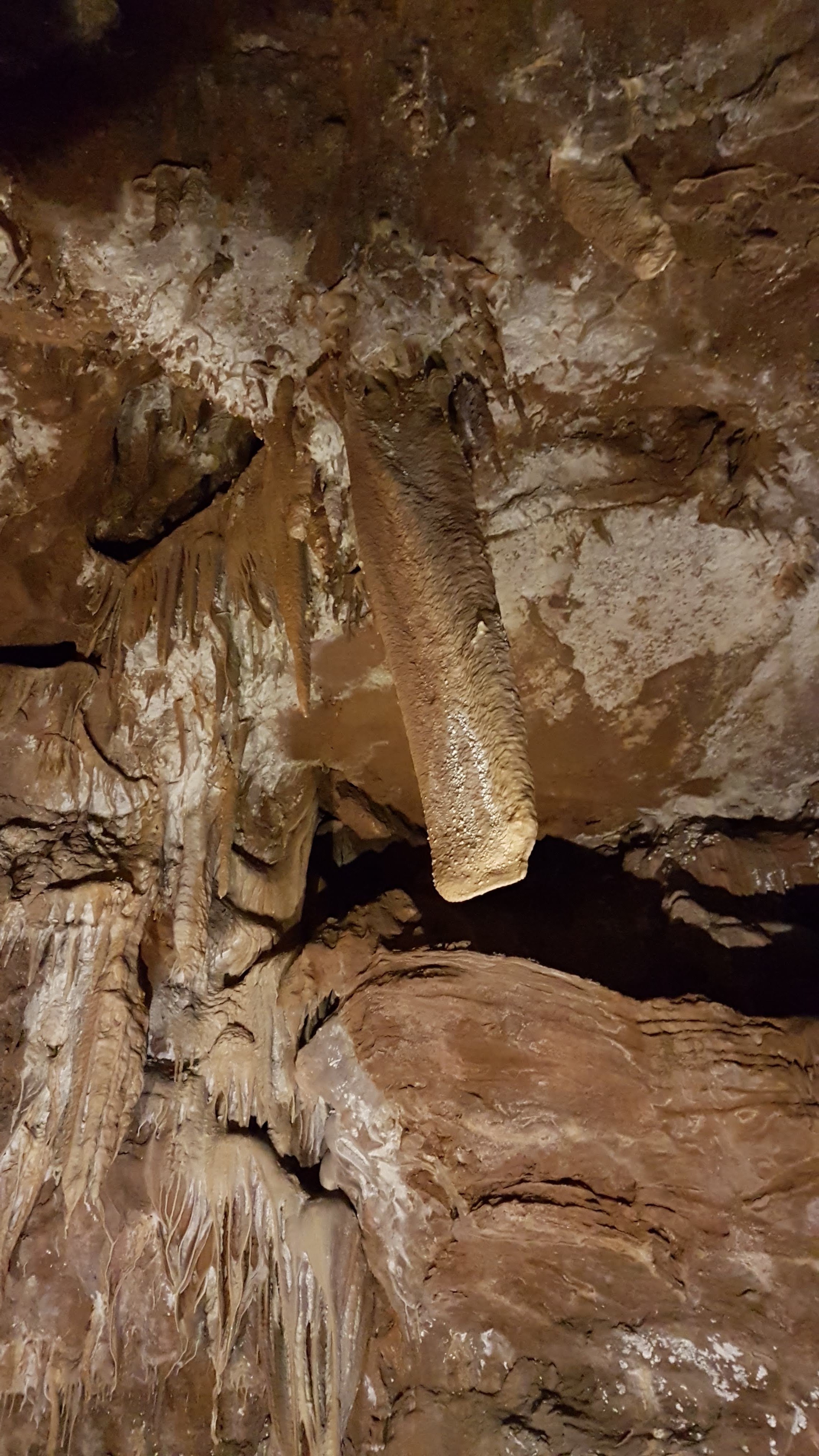 Photo n° 9 de l'avis de Philippe.l fait le 01/08/2018 à 20:49
