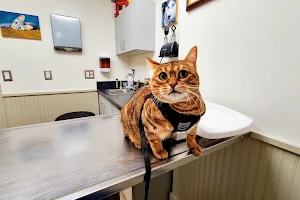 Litchfield Hills Veterinary Hospital image