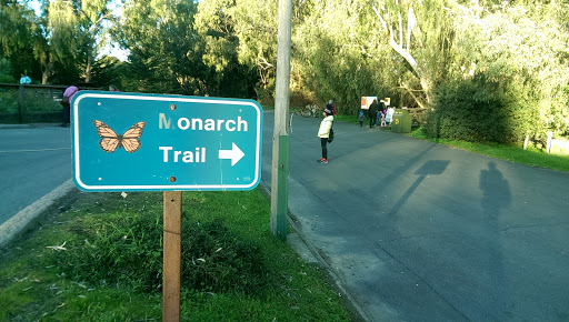 Tourist Attraction «Natural Bridges Monarch Trail», reviews and photos, 2531 W Cliff Dr, Santa Cruz, CA 95060, USA