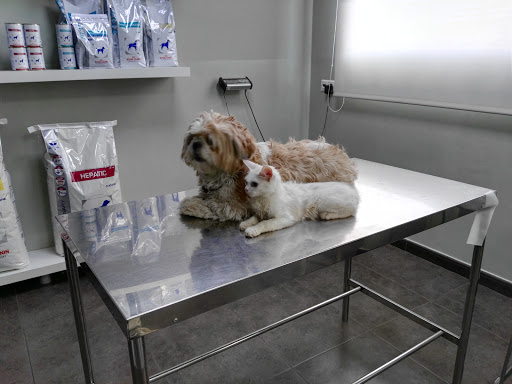 Clínica Veterinaria Olucha en Onda