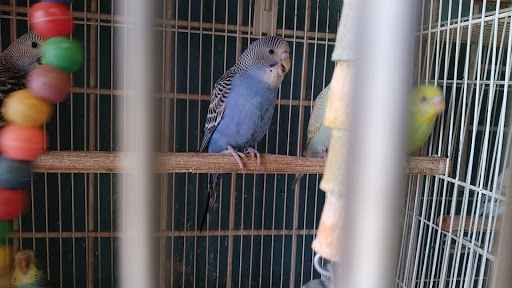 Pet Supply Store «Rutser Pet Store», reviews and photos, 5418 E Beverly Blvd, East Los Angeles, CA 90022, USA